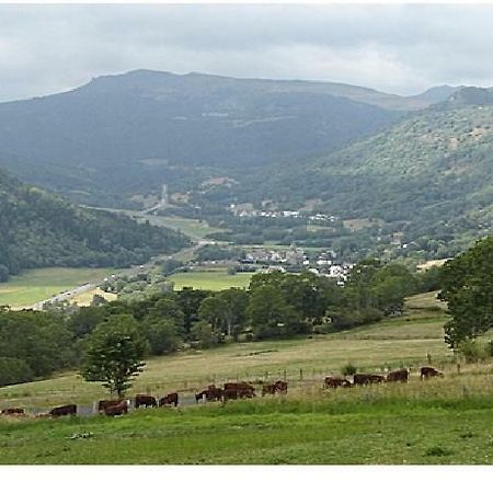 Vacances Au Pied Des Monts Du Cantal Laveissière Eksteriør billede