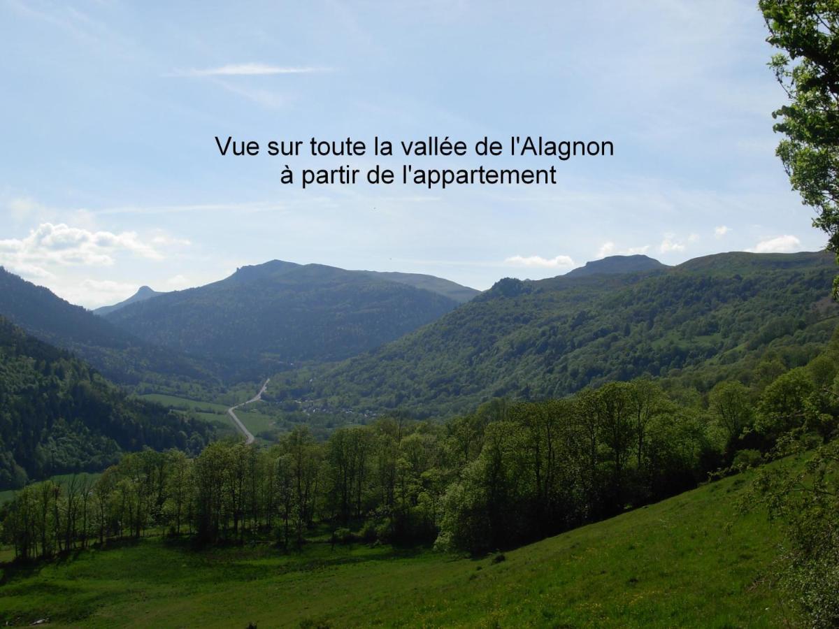 Vacances Au Pied Des Monts Du Cantal Laveissière Eksteriør billede