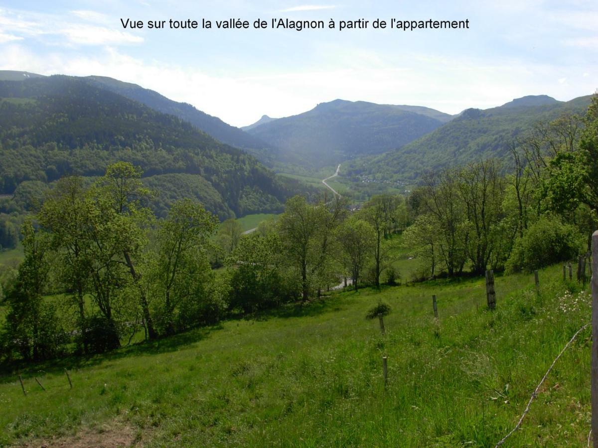 Vacances Au Pied Des Monts Du Cantal Laveissière Eksteriør billede