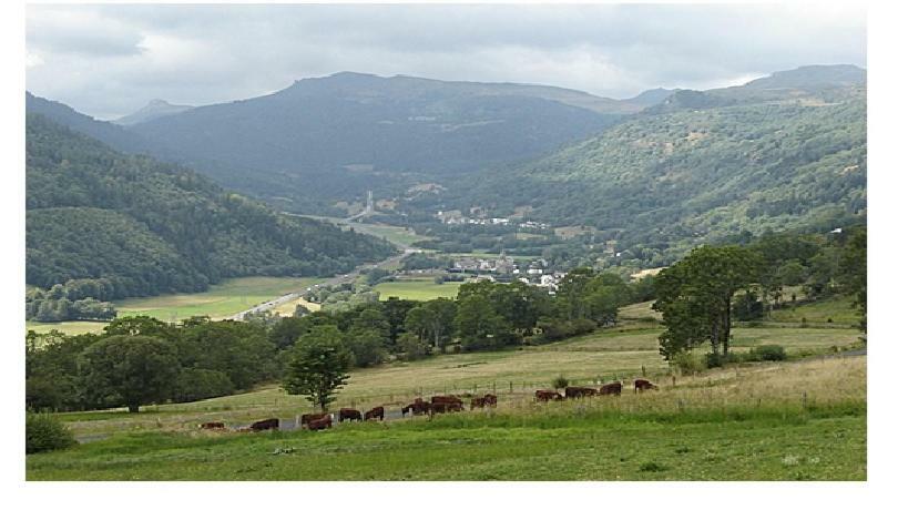 Vacances Au Pied Des Monts Du Cantal Laveissière Eksteriør billede