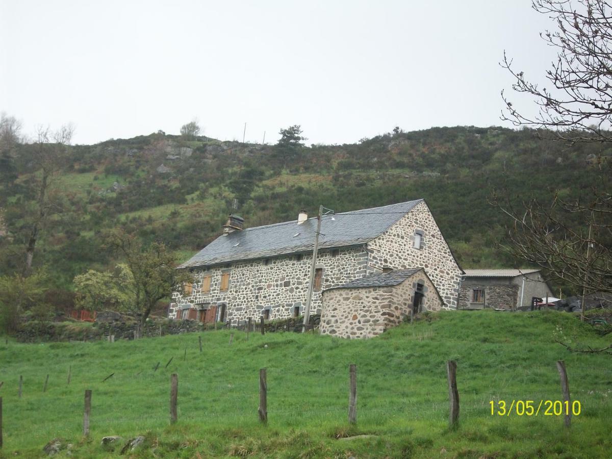 Vacances Au Pied Des Monts Du Cantal Laveissière Eksteriør billede