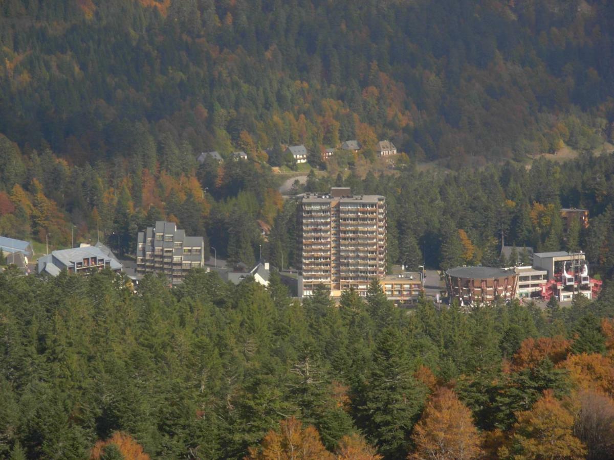 Vacances Au Pied Des Monts Du Cantal Laveissière Eksteriør billede