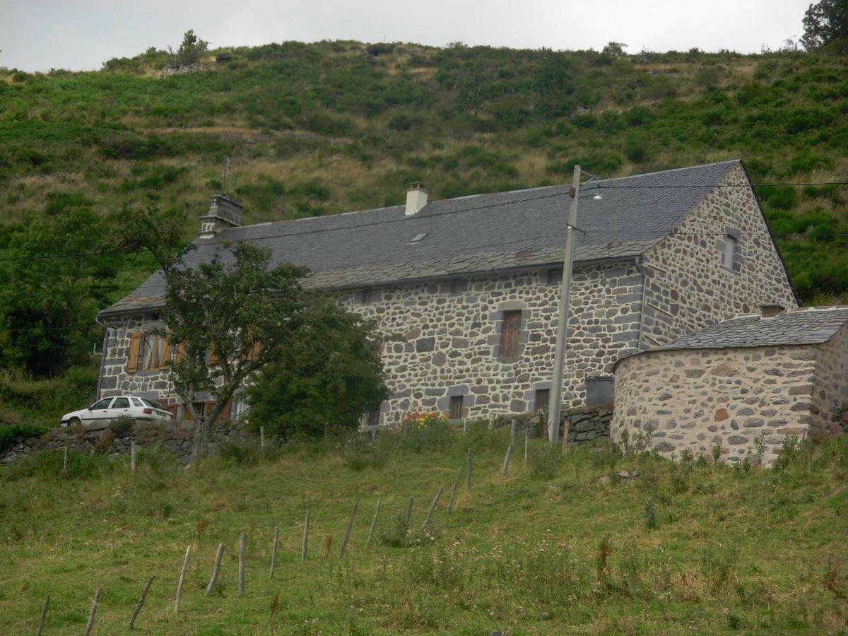 Vacances Au Pied Des Monts Du Cantal Laveissière Eksteriør billede